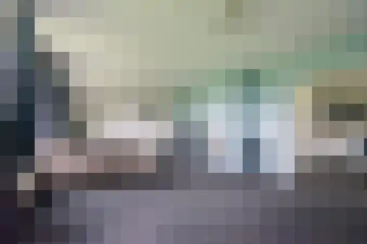 Heideveld 7 Kilder thumbnail 15