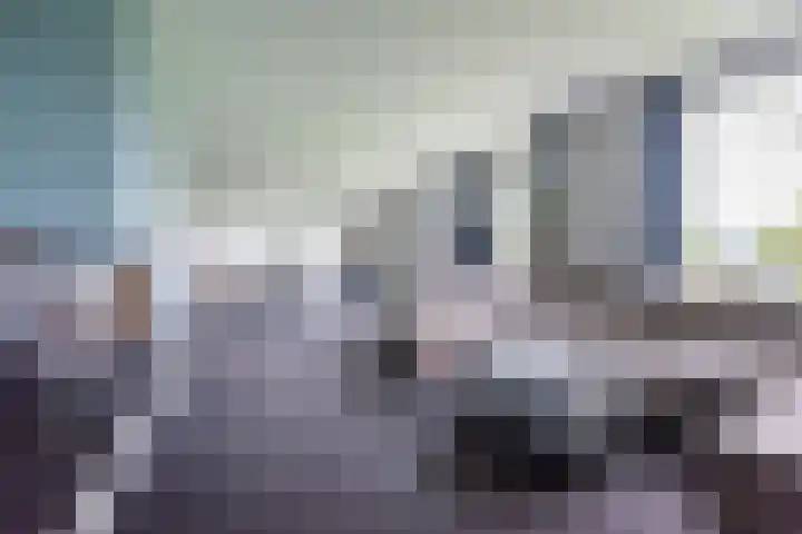 Heideveld 7 Kilder thumbnail 17