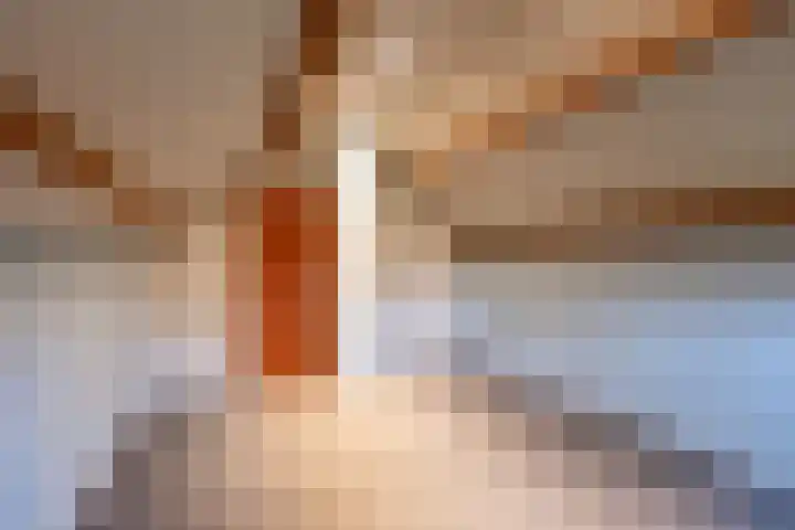 Heideveld 7 Kilder thumbnail 31