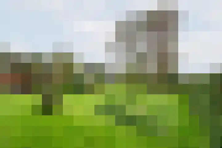 Heideveld 7 Kilder thumbnail 36