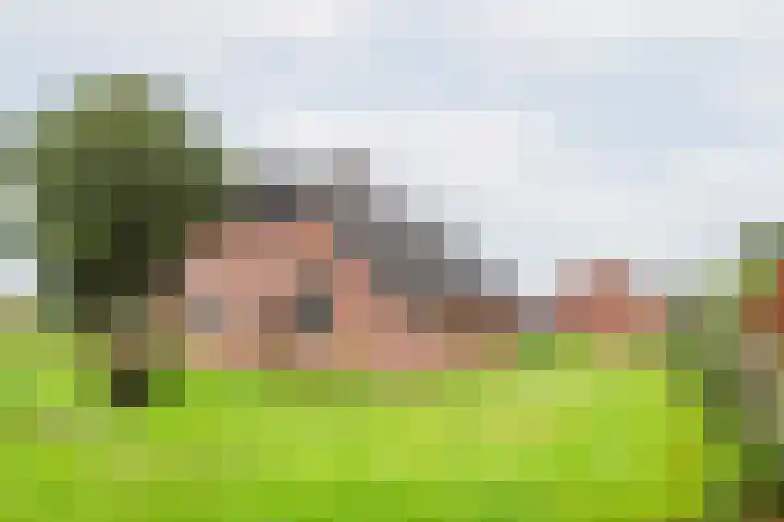 Heideveld 7 Kilder thumbnail 37