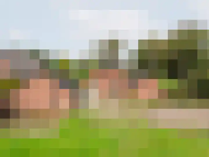 Heideveld 7 Kilder thumbnail 38