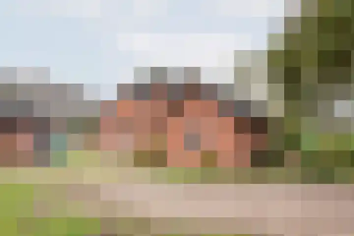 Heideveld 7 Kilder thumbnail 39