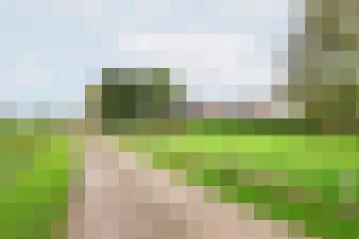 Heideveld 7 Kilder thumbnail 7