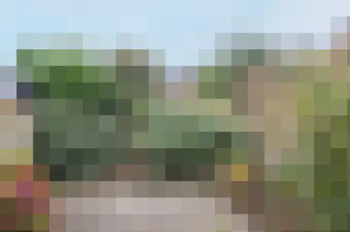 Heideveld 9 Assen thumbnail 29