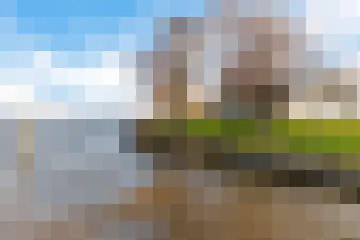 Heideven 21 Deurne thumbnail 10