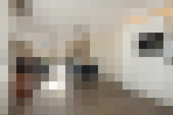 Heideven 21 Deurne thumbnail 11