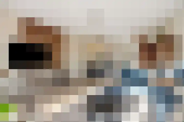 Heideven 21 Deurne foto 2