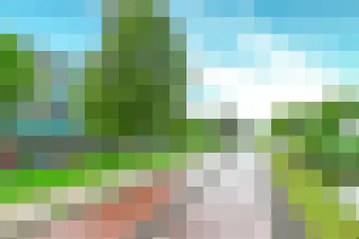 Heideven 21 Deurne thumbnail 24
