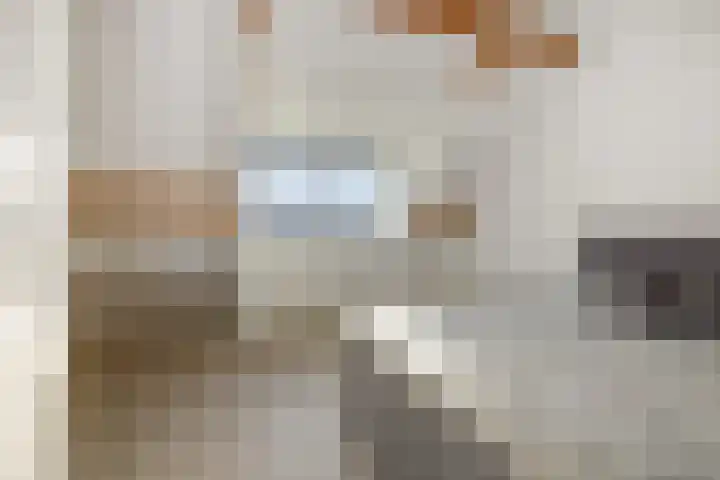 Heideven 21 Deurne thumbnail 24