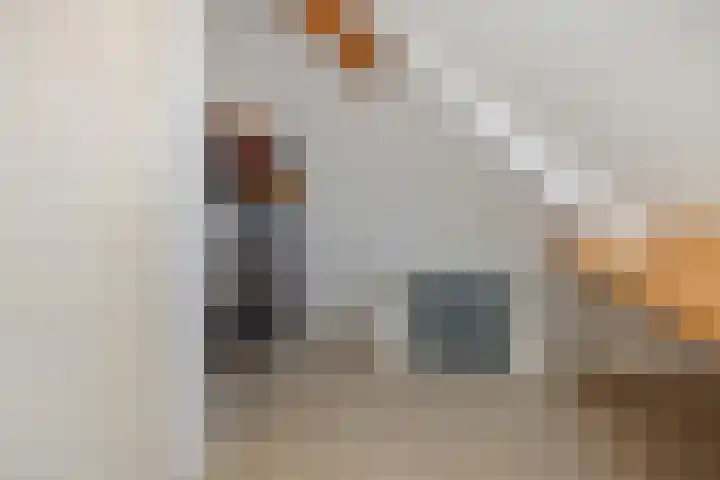 Heideven 21 Deurne thumbnail 26