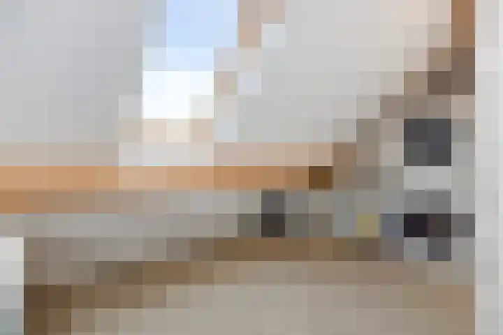 Heideven 21 Deurne thumbnail 27