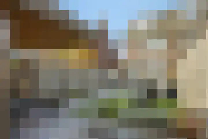 Heideven 21 Deurne thumbnail 29