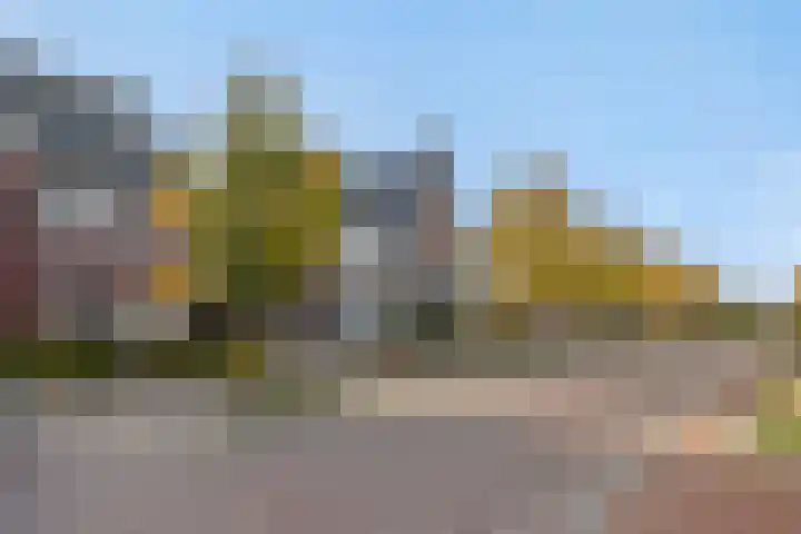 Heideven 21 Deurne thumbnail 32