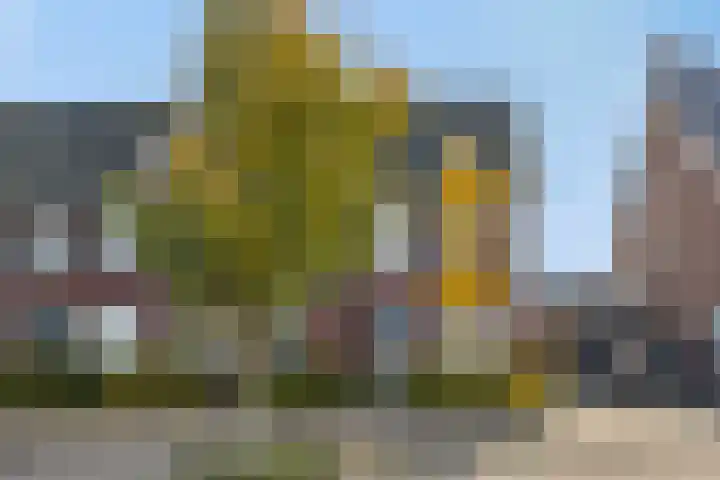 Heideven 21 Deurne thumbnail 6