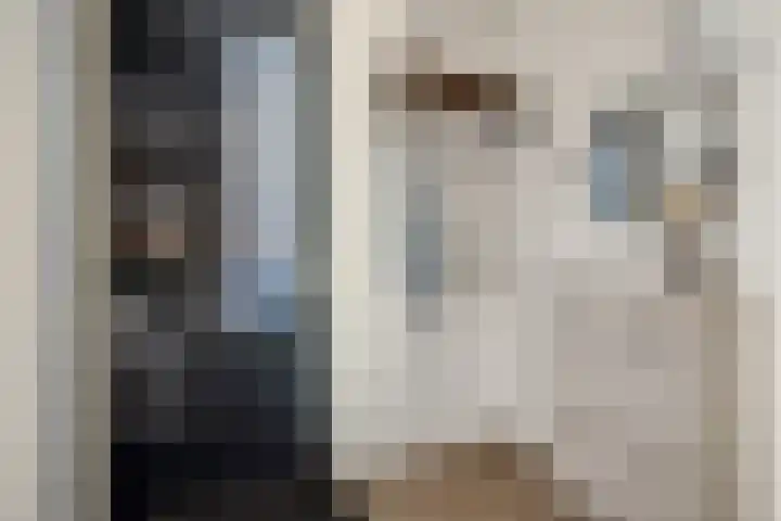 Heideven 21 Deurne thumbnail 7