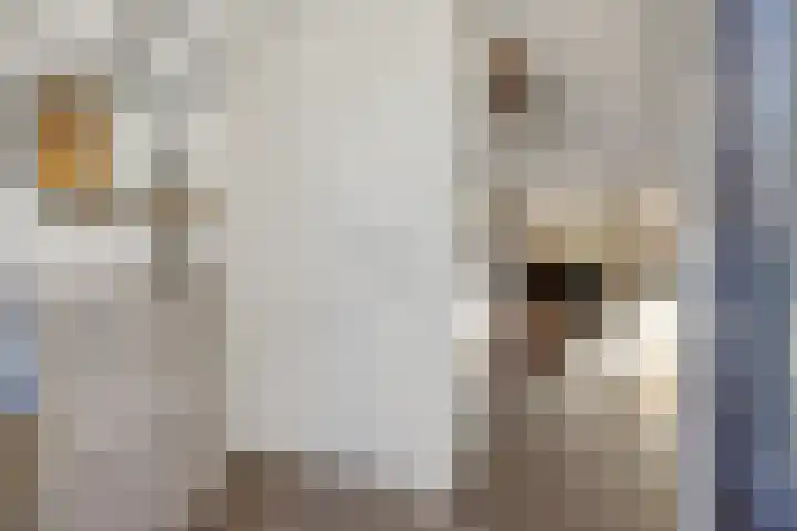 Heideven 21 Deurne thumbnail 8