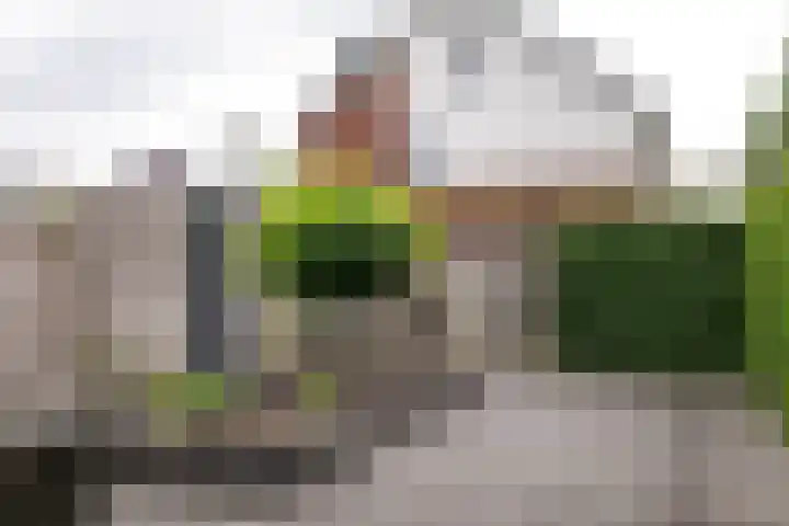 Heidevlinder 64 Enschede thumbnail 32