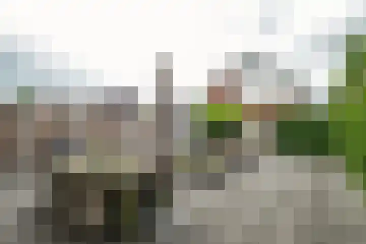 Heidevlinder 64 Enschede thumbnail 33