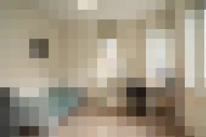 Heidevlinder 8 Enschede thumbnail 20