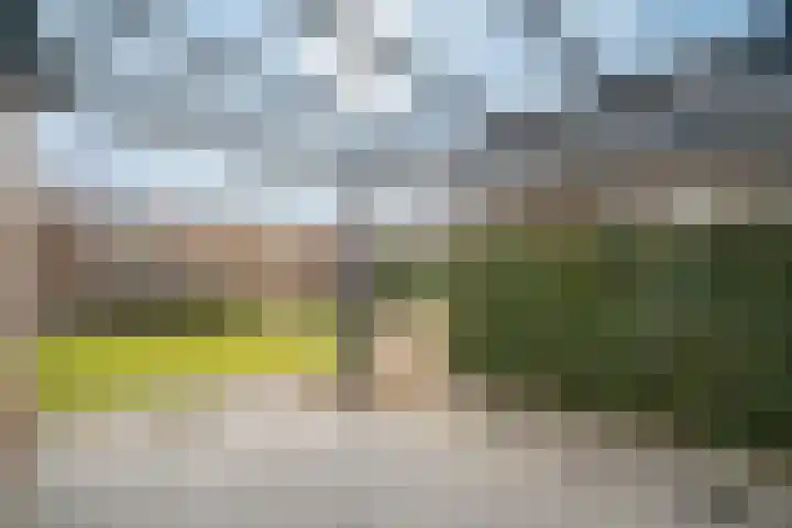Heidevlinder 8 Enschede thumbnail 31