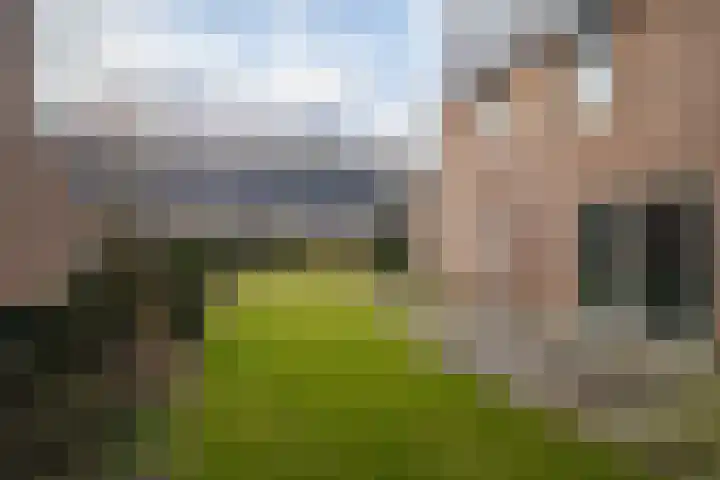 Heidevlinder 8 Enschede thumbnail 33