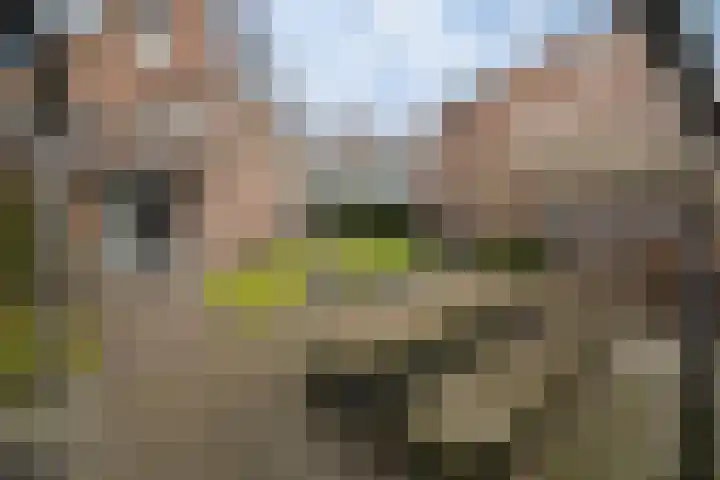 Heidevlinder 8 Enschede thumbnail 35