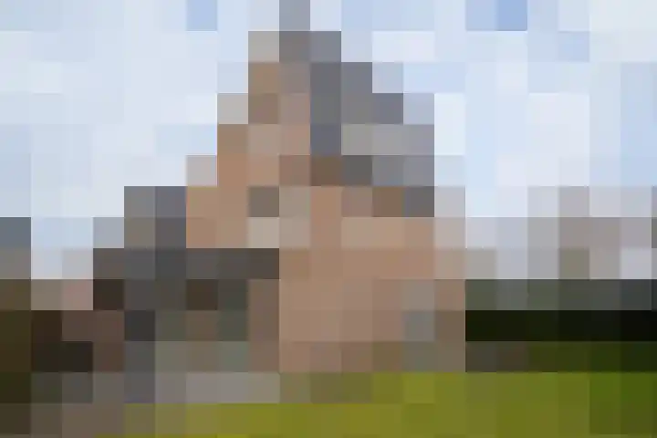 Heidevlinder 8 Enschede thumbnail 36