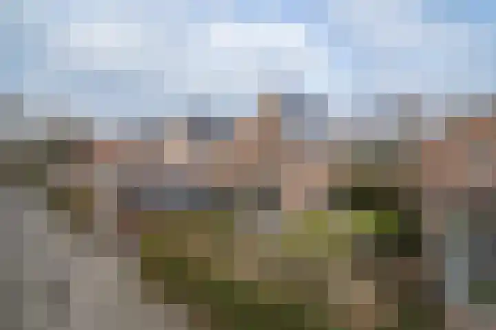 Heidevlinder 8 Enschede thumbnail 37