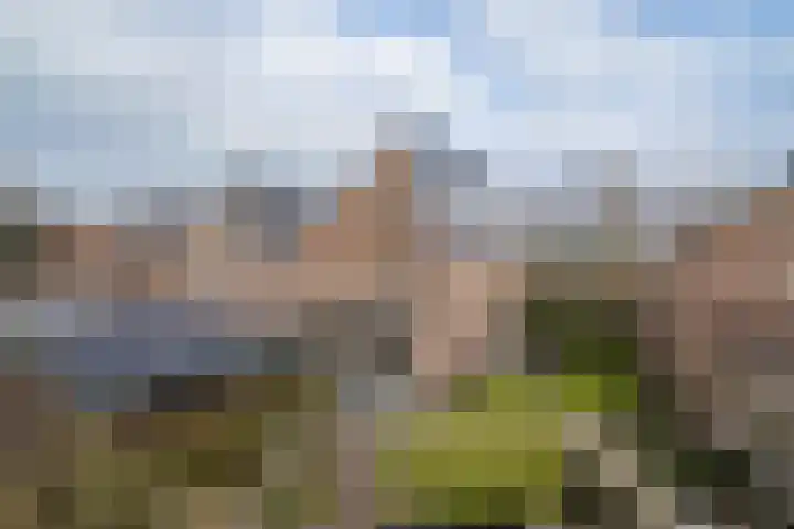 Heidevlinder 8 Enschede thumbnail 38