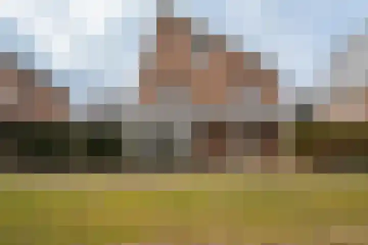 Heidevlinder 8 Enschede thumbnail 5