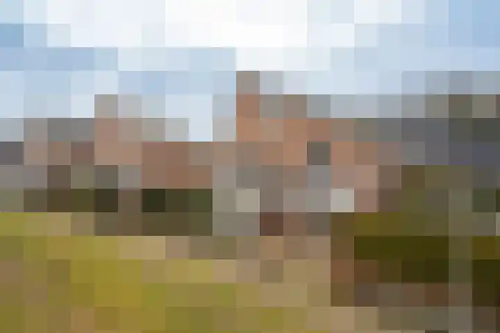 Heidevlinder 8 Enschede thumbnail 6