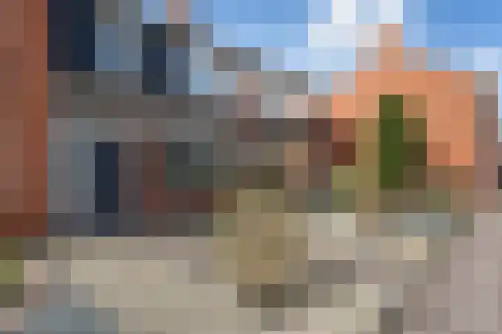 Heidewal 17 Erica thumbnail 4