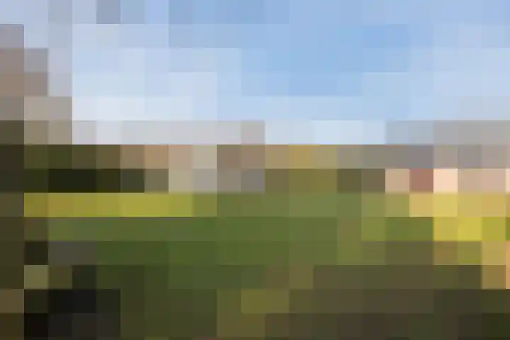 Heideweg 12 Heerde thumbnail 51