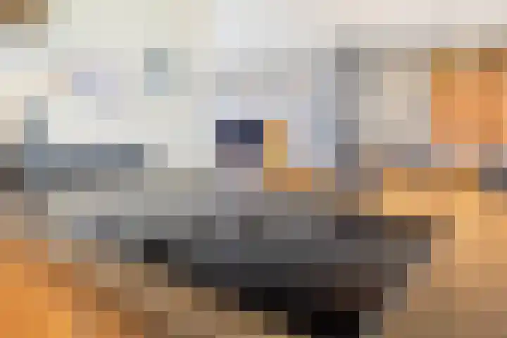 Heideweg 13 Maasbree thumbnail 21