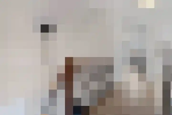Heideweg 13 Maasbree thumbnail 34