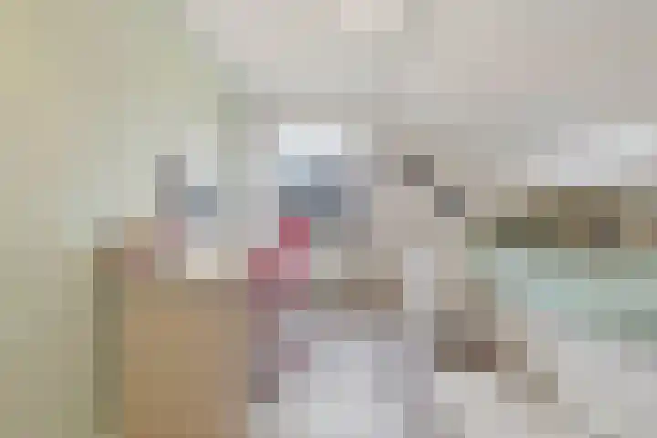 Heideweg 13 Maasbree thumbnail 37