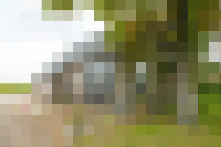 Heideweg 3 Harreveld thumbnail 12