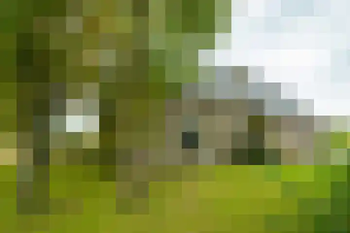 Heideweg 3 Harreveld thumbnail 30