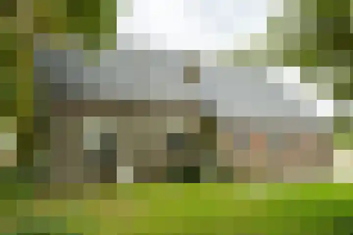 Heideweg 3 Harreveld thumbnail 31