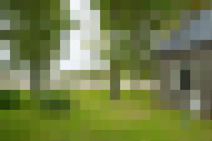 Heideweg 3 Harreveld thumbnail 32