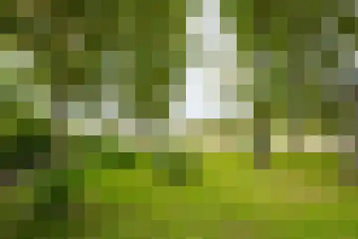 Heideweg 3 Harreveld thumbnail 33