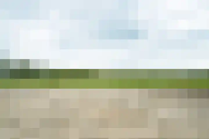 Heideweg 3 Harreveld thumbnail 38