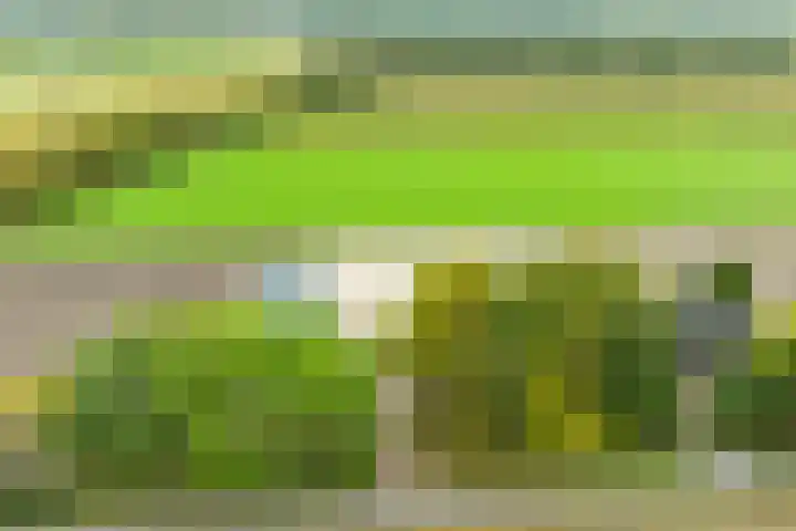 Heideweg 3 Harreveld thumbnail 39