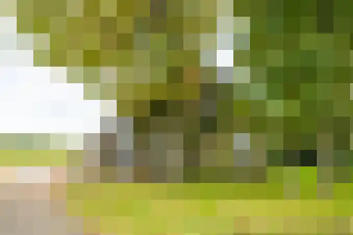 Heideweg 3 Harreveld thumbnail 4