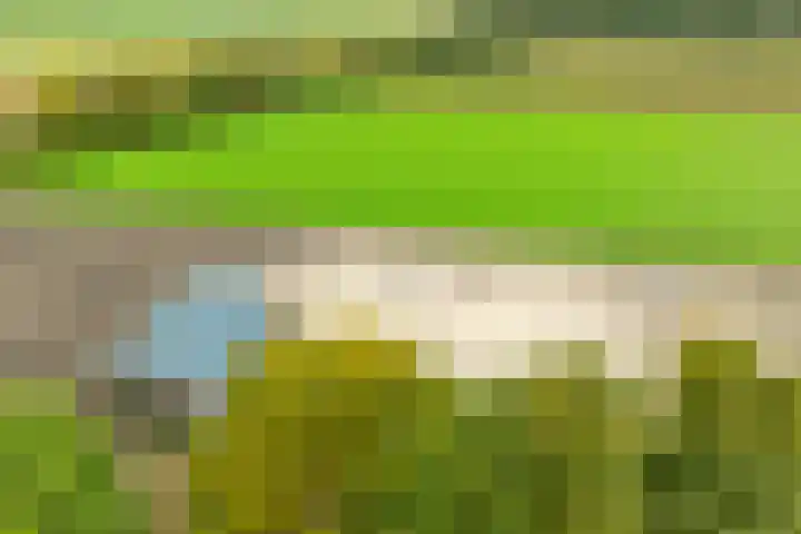 Heideweg 3 Harreveld thumbnail 40