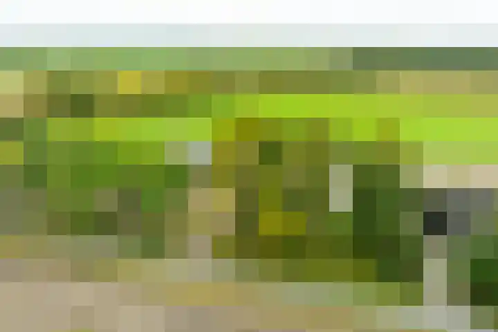 Heideweg 3 Harreveld thumbnail 41