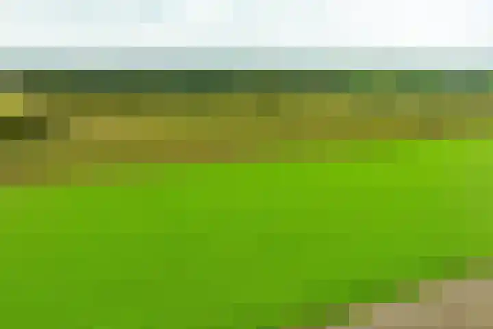 Heideweg 3 Harreveld thumbnail 45
