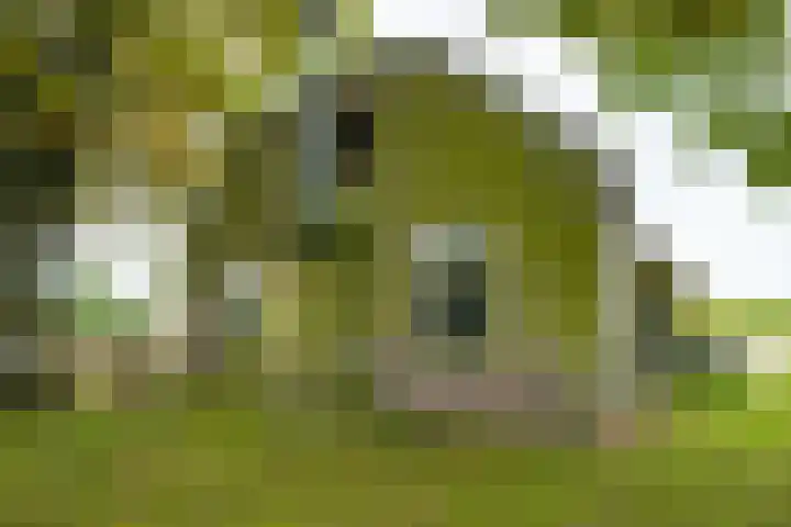 Heideweg 3 Harreveld thumbnail 9