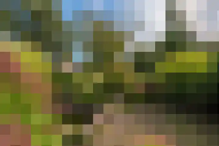 Heideweg 3 Onstwedde thumbnail 13